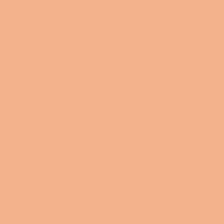 BS381-447 Salmon Pink Aerosol Paint